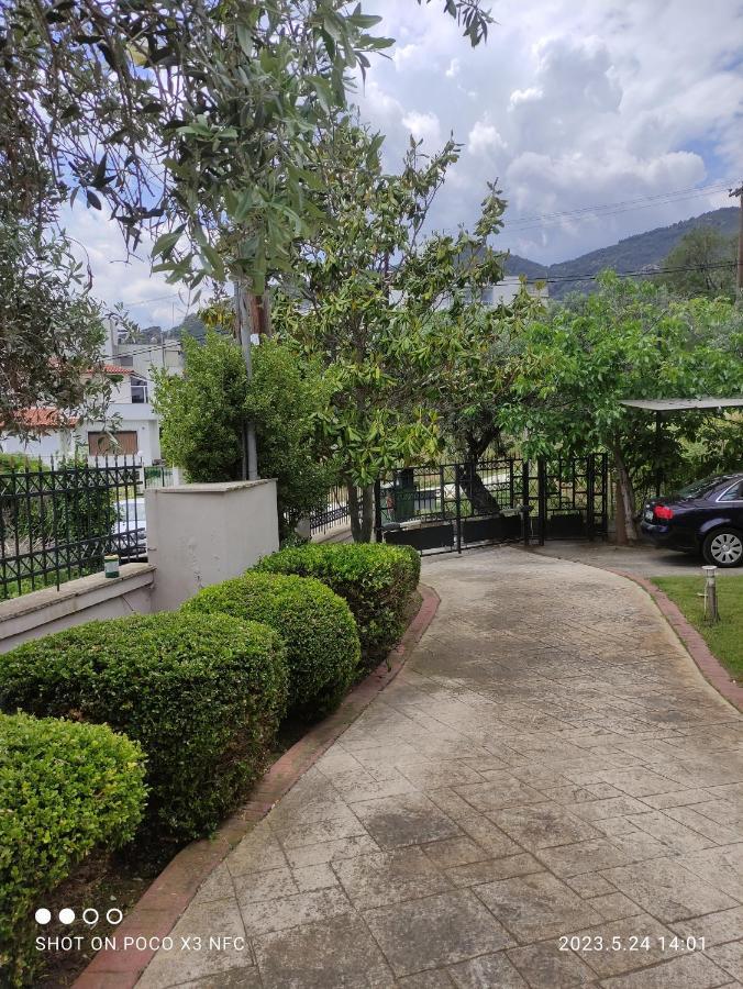 Garden House Villa PalaiónTsiflíkion Exterior foto